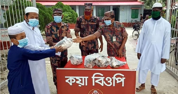 ভারতে পাচারের সময় জব্দ করা ইলিশ এতিমখানায় দিল বিজিবি