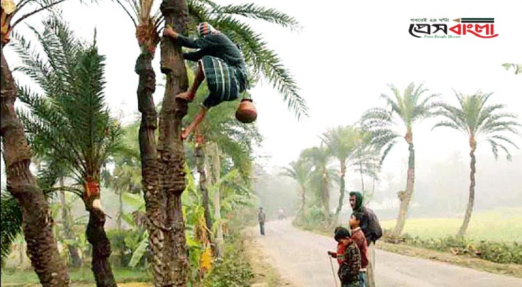 প্রকৃতিতে শীতের আগমন !