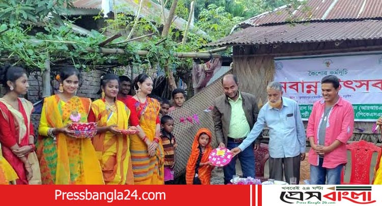 নড়াইলে কিশোরীদের অংশগ্রহণে নবান্ন উৎসব পালিত