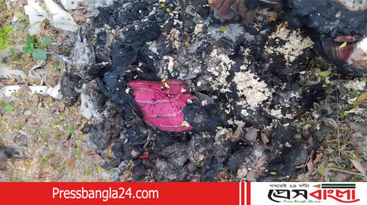 নড়াইলে খামারে আগুনে পুড়ে ৮০০ হাঁস ও মুরগির মৃত্যু