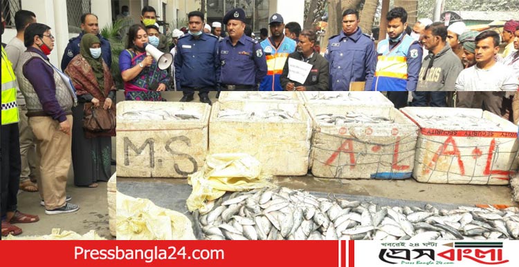 না’গঞ্জে ৩০মন অবৈধ জাটকা সহ আটক ১