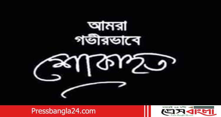 সাংবাদিক হাসানের মায়ের মৃত্যুতে সিদ্ধিরগঞ্জ থানা প্রেস ক্লাবের শোক
